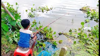 Hook Fishing - Traditional Hook Fishing - MR Fishing Life (Part-67)