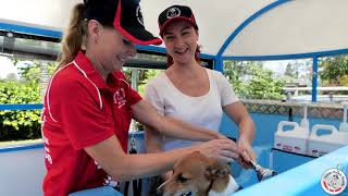 Go out on a Discovery Day with Aussie Pooch Mobile Dog Wash