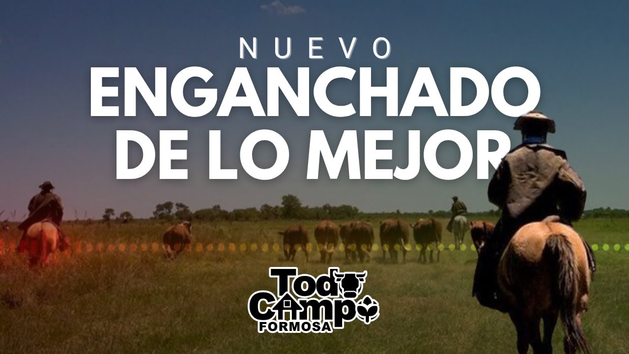 Mix folklore y chamamé 2025 || Lo mejor de Todo Campo Formosa