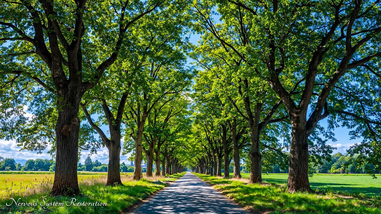 Restore Your Nervous System 🌿 Relaxing Music for Anxiety Relief & Stress Reduction | NerveRest