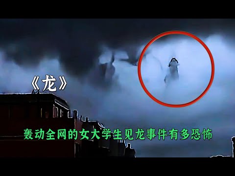轟動全網的女大學生見龍事件有多恐