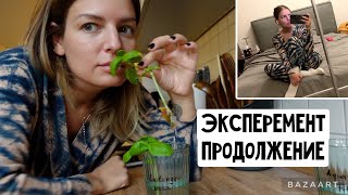 Крутая игрушка / Худеем дальше / Правда или вымысел? Чувство насыщения