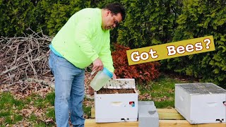 Bee Diary 2020 Ep1: GOT BEES | May 1 screenshot 2