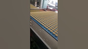 Fully Automatic Rotary Moulder Soft Biscuit Production Line