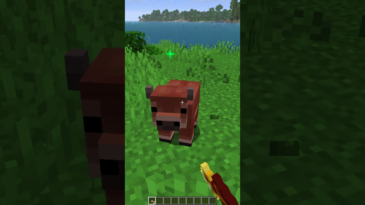 Minecraft's Newest item