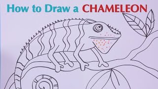 How To Draw A Chameleon - Great Artist Mom - Guided Drawing