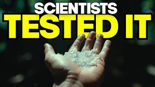 What Was Manna Really? The Bible Describes It. Scientists Tested the Match.