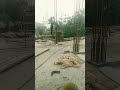 CONSTRUCTION SITE #jcb #excavator #dumper #shuttringwork #steel #ytshorts