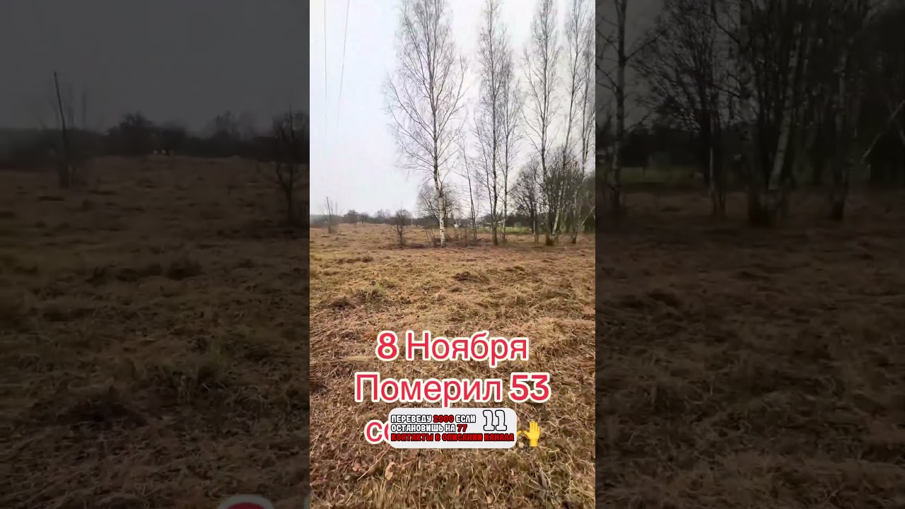 😁 😂Покос травы любой сложности 