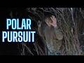 Flee → Crash → Run → Caught After Snowy Foot Pursuit