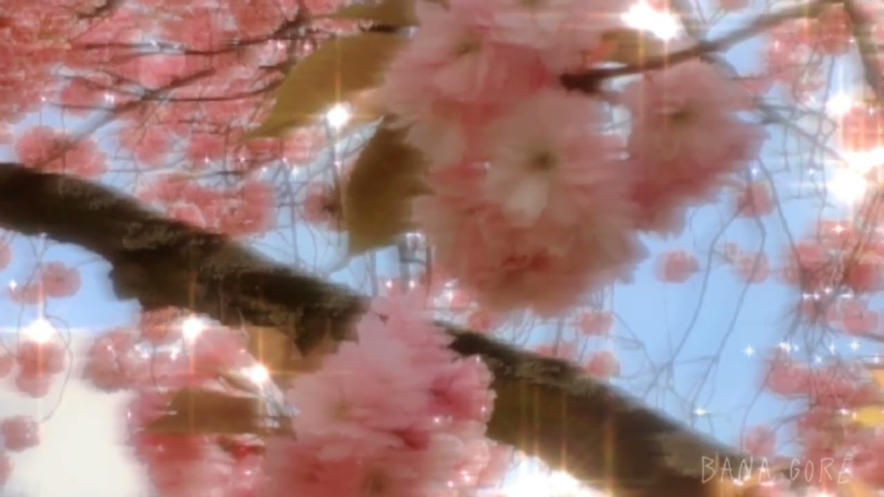 Murat Boz-harbi guzel/speed up