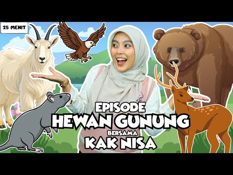 Belajar Bermain Episode Hewan Gunung Untuk Balita - Belajar Kata, Lagu Interaktif untuk Balita