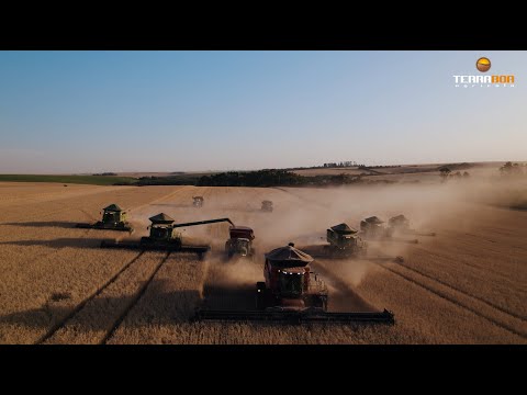 Terra Boa Agrícola - Institucional