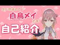 【新人Vtuber】行政書士バーチャル講師の白鳥メイ(しらとりめい)です!