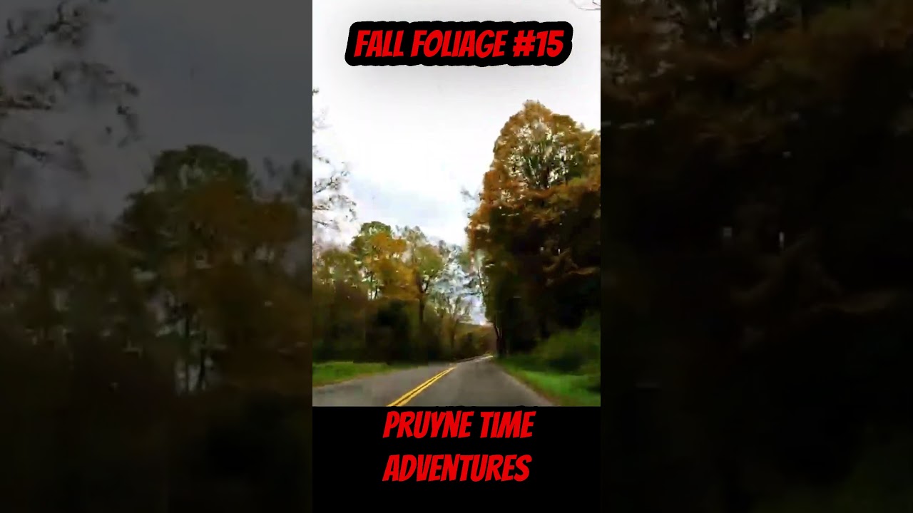 FALL FOLIAGE #15: Steuben County’s Quiet Roads. Autumn Colors