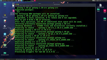 How to Fix ANDROID_HOME can not be found on Parrot Security Linux