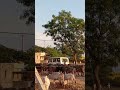 My village cow 🐮🐮🐮 #song #entertainment