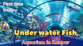 Fish Aquarium Tunnel | Kanpur's first underwater aquarium tunnel | sanskari pratik