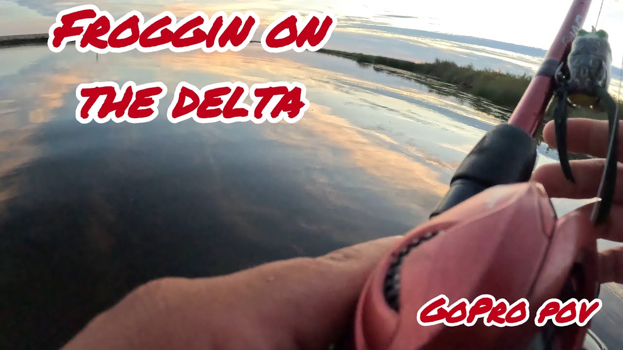 (Part2) California Delta BASS Fishing On A BOAT !!