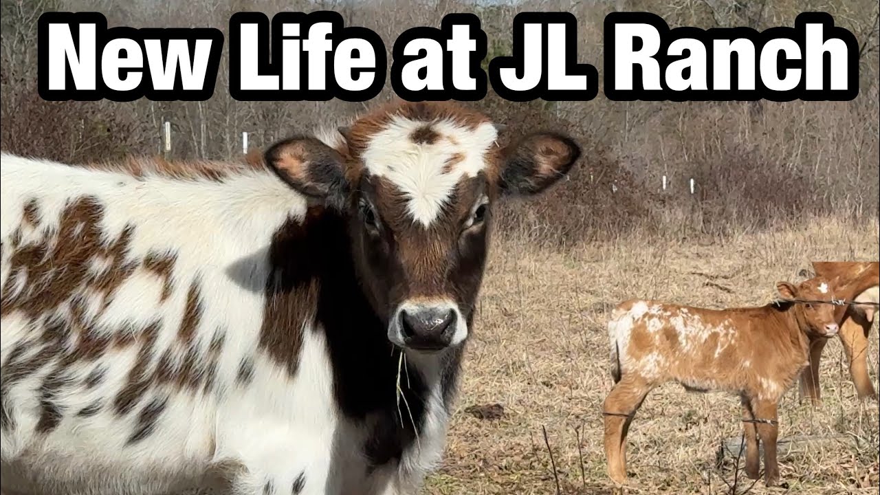 Jnl Ranch SURPRISE!!! New Life at JL Ranch! - YouTube