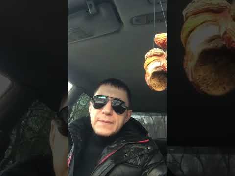 Мухомор и тревожная депрессия | Как влияет сушёный мухомор на человека | #shorts