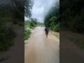 Tajuk Valley Estate ~ floods in Lombok ~ #tajukvalleyestate
