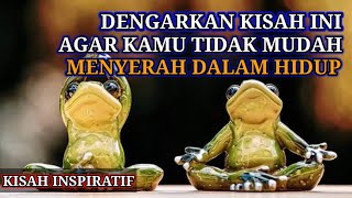 Kisah persahabatan 2 ekor katak - Kamu menyerah maka kamu mati