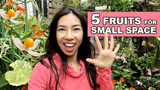 Small Space Gardening: Grow Fruits in 2 Inch Pots & More! by Wendi Phan 6,334 views 11 months ago 19 minutes