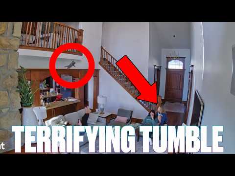 THIS IS WHAT WE WERE AFRAID OF KITTEN FALLS FROM BALCONY AS FAMILY WATCHES IN HORROR 