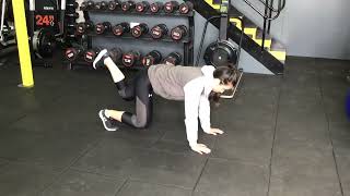 Bear Plank Leg Lifts
