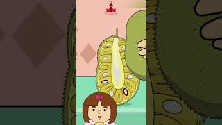 Download Lagu Buah Nangka MP3