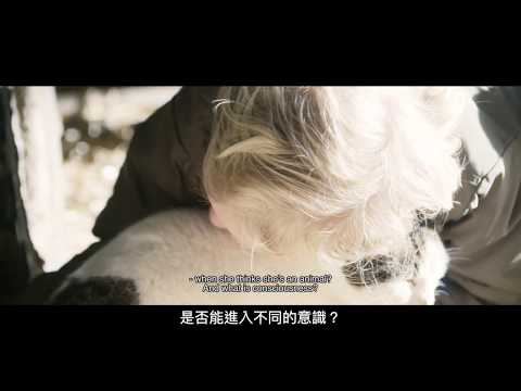 Giloo紀實影音《穿越意識界 ... When You Look Away》