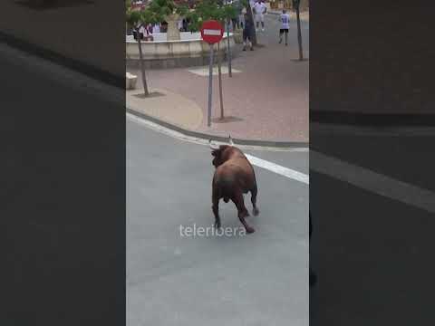 😱 Fantastico lo que le HACE KIKE al TORO del BARRANCO!