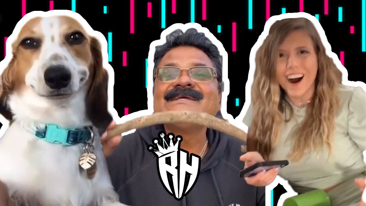 FUNNY TIKTOK | TRY NOT TO LAUGH | YOU WILL FAIL 99.9% 