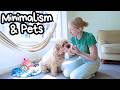 MINIMALIST HOME WITH PETS 🐾 MINIMALISM &amp; PETCARE 🐾 MINIMALIST LIFESTYLE | MINIMALIST TIPS 🐕