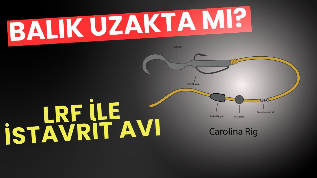 Balık Uzakta mı? Carolina Rig ile Kolayca Eriş!LRF ile İstavrit Avı.