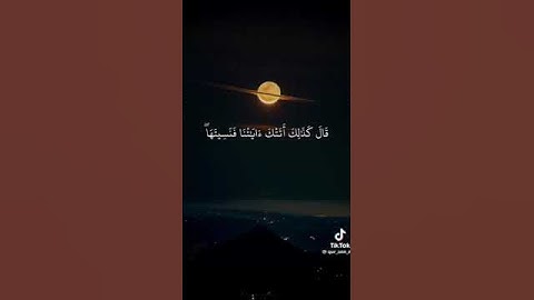 ما إسم القارئ