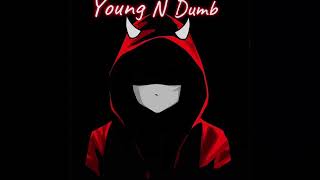 Young N Dumb (official audio)