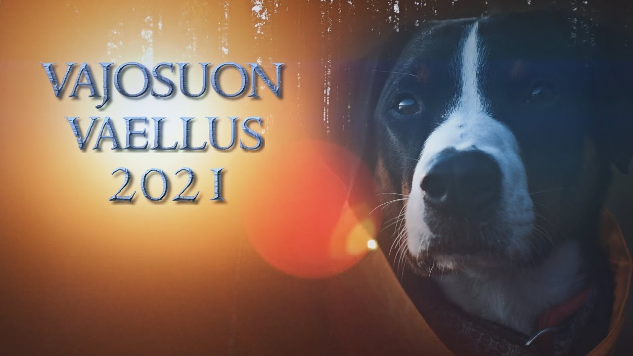 Vajosuon Vaellus 2021