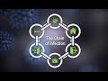Breaking the Chain of Infection for Health and Safety