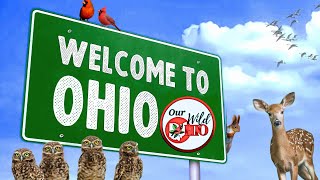 Welcome to Our Wild Ohio!