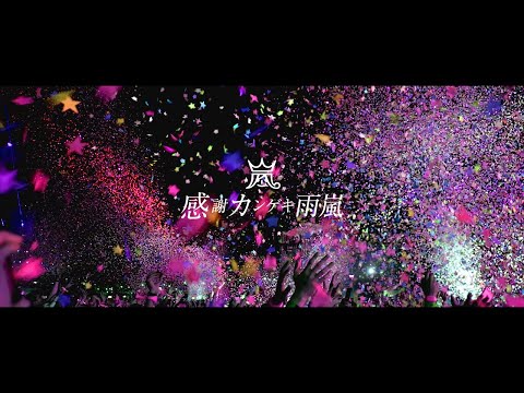 【嵐】感謝カンゲキ雨嵐（Instrumental Cover）OffVocal カラオケ