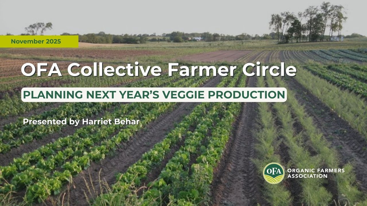 Building Your Enthusiasm for Next Year’s Vegetable Production