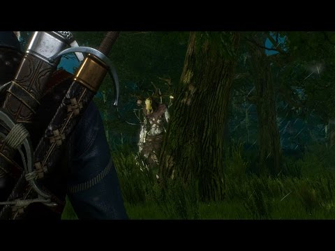 Vídeo: The Witcher 3 - Lord Of The Wood: Cómo Matar A Kernun, The Lord Of The Wood