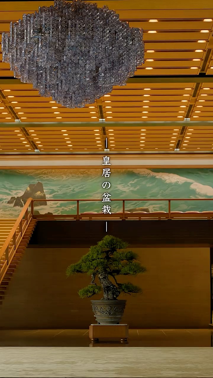 皇居の盆栽 皇居の盆栽（ショート版） - YouTube