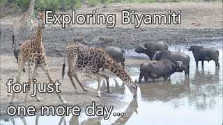 One last amazing drive from Biyamiti