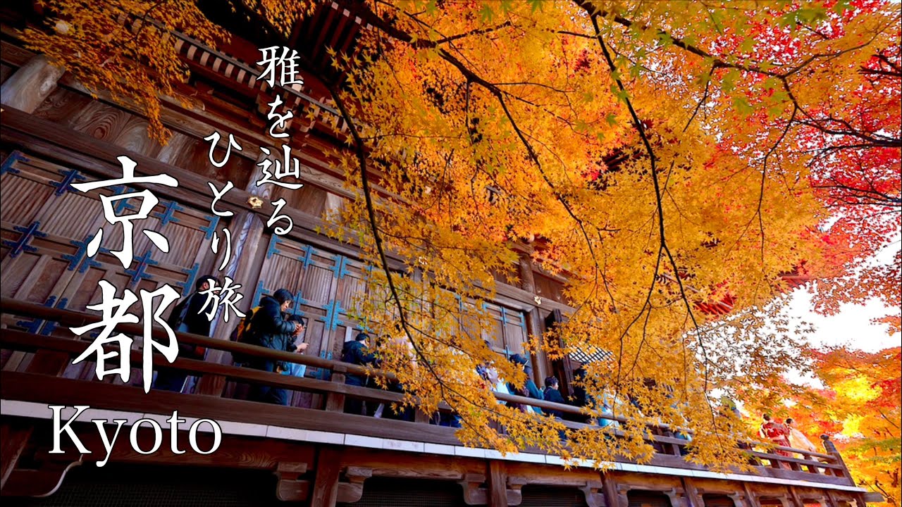【一生に一度の体験】京都の絶景スポットをめぐる旅｜誰もいない京都最古の禅寺を特別に撮影｜2泊3日で寺社を回るひとり旅【4K/8K】