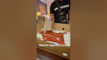 #marvinagustin #cochi #cochinillo #viralvideo