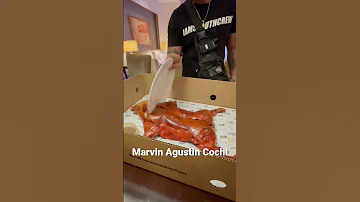 #marvinagustin #cochi #cochinillo #viralvideo