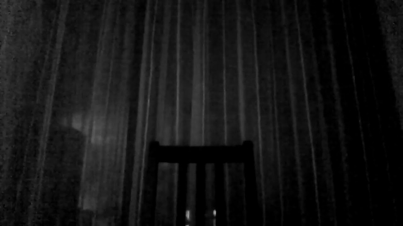 DIS313 - WHITE TRASH PORN